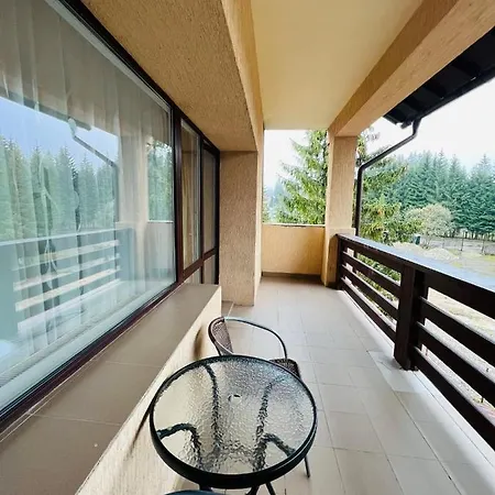 Pensiunea Zimbrul Guest house
