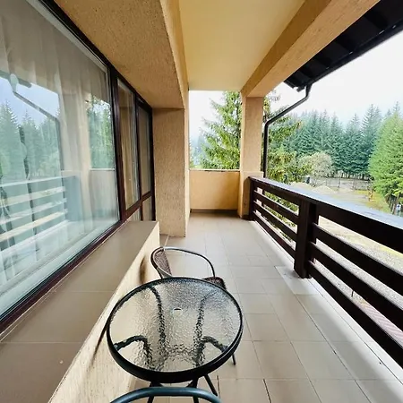 Pensiunea Zimbrul Guest house