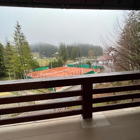 Guest house Pensiunea Zimbrul *