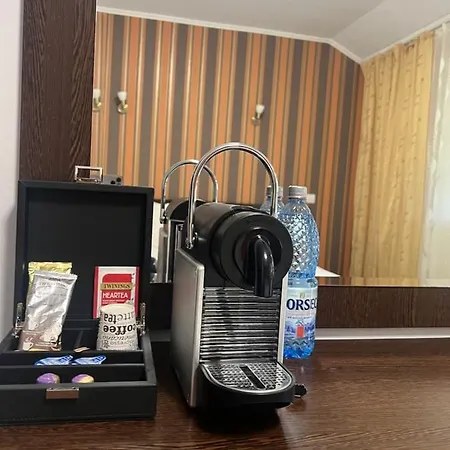 Pensiunea Zimbrul Guest house *