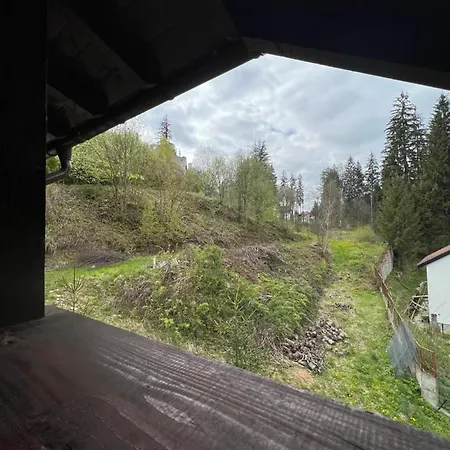 Gasthof Pensiunea Zimbrul *