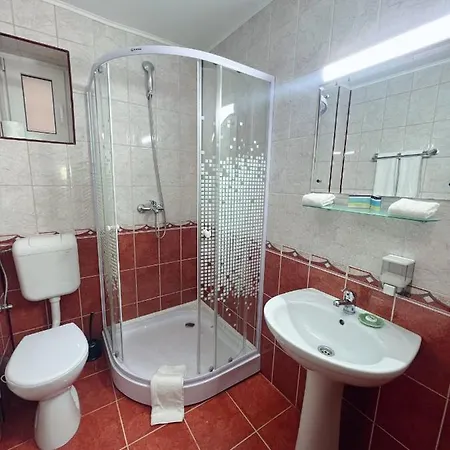 Guest house Pensiunea Zimbrul